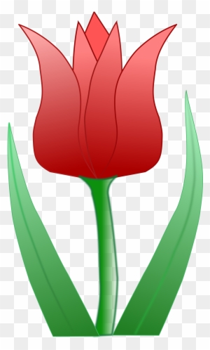 Tulip Flower Free Png Transparent Images Free Clipart - Free Clip Art