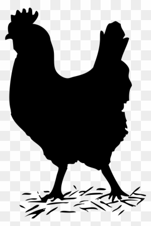 Free Clipart Of A Hen