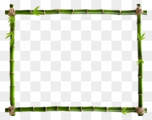 Frame-4002 - Flower Border With White Background - Free Transparent PNG ...