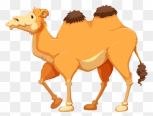 Camel Clipart, Transparent Png Clipart Images Free Download - Clipartmax