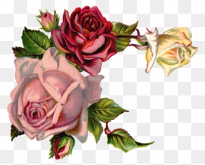 Free Digital Flower Pink Rose Corner Design - Vintage Flower Corner Png