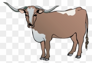 Longhorn Cattle Clipart Drawing - Cow Vector - Free Transparent PNG ...