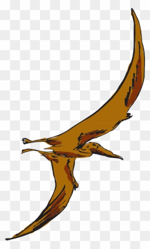 Pterodactyl Dinosaur Bird Shape Svg Png Icon Free Download (#74409) 