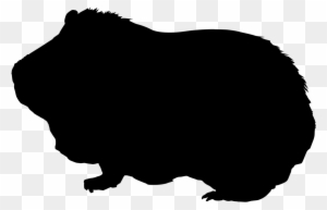 Guinea Pig Clipart Transparent Png Clipart Images Free Download Clipartmax