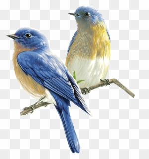 bird song clipart