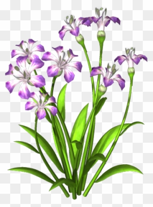 Res Purple Flowers Png By Hanabell1 Plants With Flowers Png Free Transparent Png Clipart Images Download