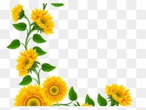 Free Free 350 Clear Background Sunflower Clipart Transparent Transparent Sunflower Border Png SVG PNG EPS DXF File
