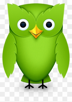Do Our Machines Have Anything To Teach Us About How - Duolingo Owl Png