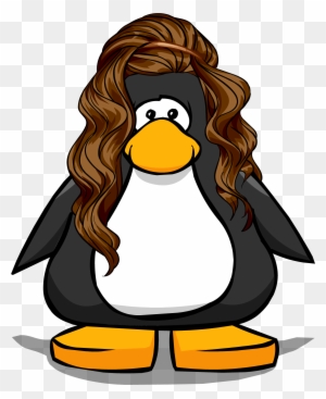 07 August 23 2014 Club Penguin Hair Codes Free Transparent Png Clipart Images Download