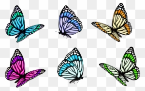 Butterfly Adobe Illustrator Clip Art - Butterfly - Free Transparent PNG ...