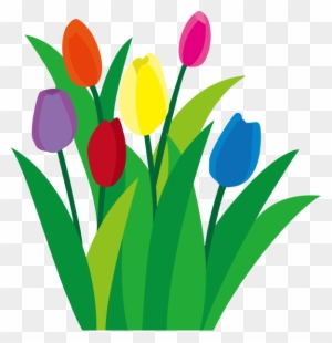 定番の花1 03 チューリップイラスト Sprenger S Tulip Free Transparent Png Clipart Images Download