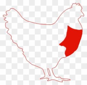 Chicken Breast - Chicken As Food
