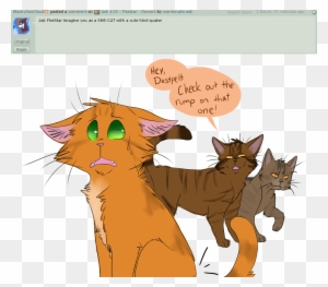 Ask - Warrior Cats Ask Firestar