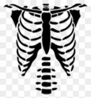 Beautiful Rib Cage Cartoon Skeleton Torso Halloween Png T Shirts For Roblox Free Transparent Png Clipart Images Download - skeleton t shirt roblox halloween