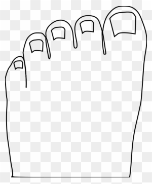 Cartoon Picture Of Toes - Free Transparent PNG Clipart Images Download