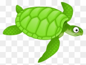 Turtle Clipart Transparent Png Clipart Images Free Download Page 4 Clipartmax - green sea turtle decal roblox