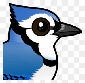 Blue Jay Blue Jay Bird Transparent Free Transparent Png Clipart Images Download