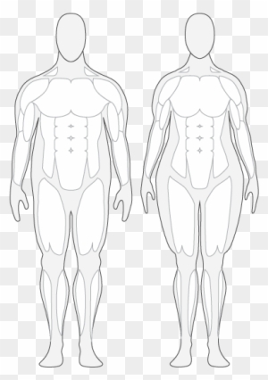 Muscle Clip Art Transparent Png Clipart Images Free Download Clipartmax - roblox muscle girl
