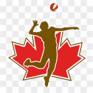 kolodinski volleyball clipart