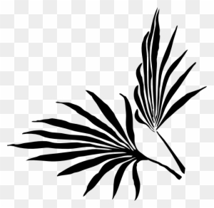Palm Frond Clip Art Free - Palm Leaf Clipart Black And White - Free