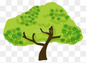 固まった猿の顔のイラスト Illustration Free Transparent Png Clipart Images Download