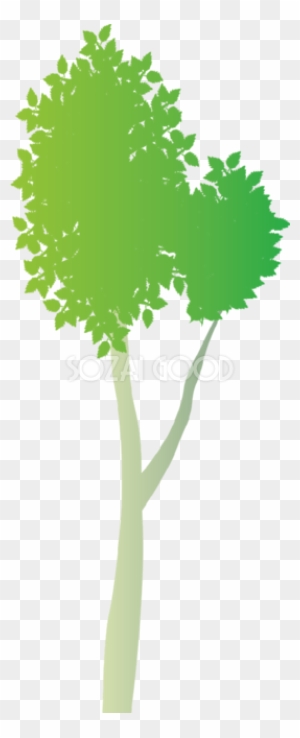 おしゃれな木 白樺の無料イラスト814 Tree Free Transparent Png Clipart Images Download