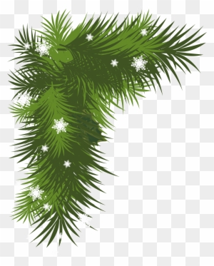 christmas branch tree vector clipart