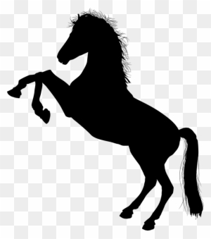 Tier Schwarz Pferde Pferd Realistische Fahrt Clip Art Horse Silhouette Free Transparent Png Clipart Images Download