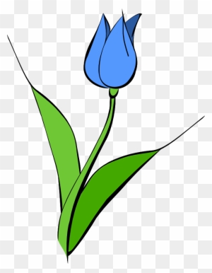 Film Reel Clipart - Blue Tulip Clipart