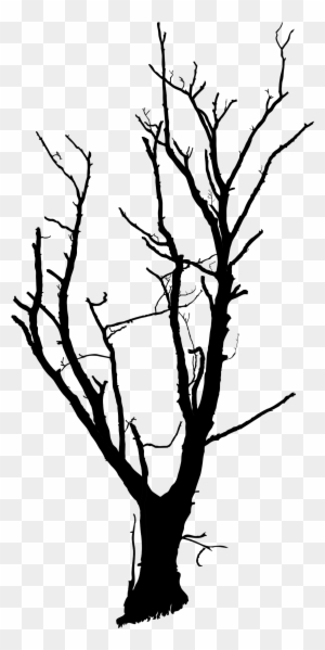 Big Image - Small Dead Tree - Free Transparent PNG Clipart Images Download