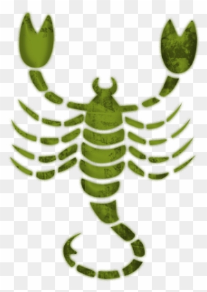 80 801748 Scorpion Cliparts Scorpio Horoscope 