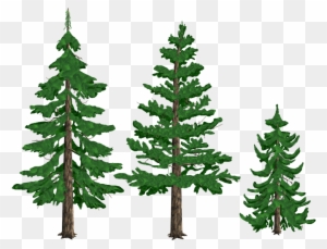 Pine Trees By Tyke44060 On Deviantart - Pine Tree Drawing Png