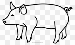 Pig Coloring Page - Drawing - Free Transparent PNG Clipart Images Download