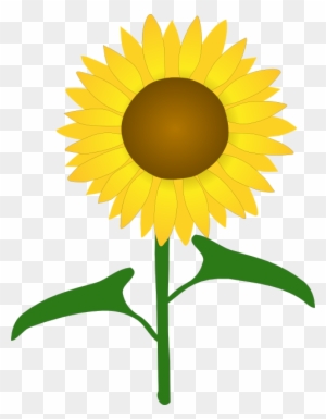 Free Free 270 Realistic Sunflower Svg Free SVG PNG EPS DXF File