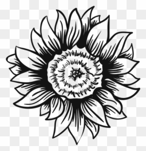 Download Sunflower Head Stroke Transparent Png - Black And White ...