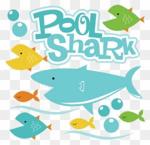 Free Free 290 Whale Shark Svg Free SVG PNG EPS DXF File