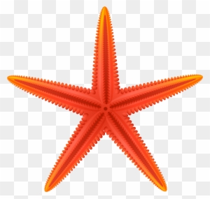 starfish clip art printable