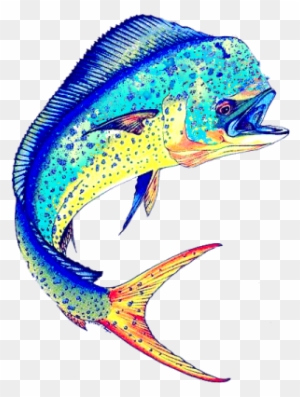 mahi mahi guy harvey wallpaper