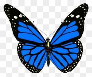 Blue Butterfly Png Pic - Animated Picture Of Butterfly
