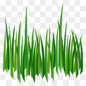 Cartoon Pictures Of Grass Minecraft Icon Free Transparent Png Clipart Images Download