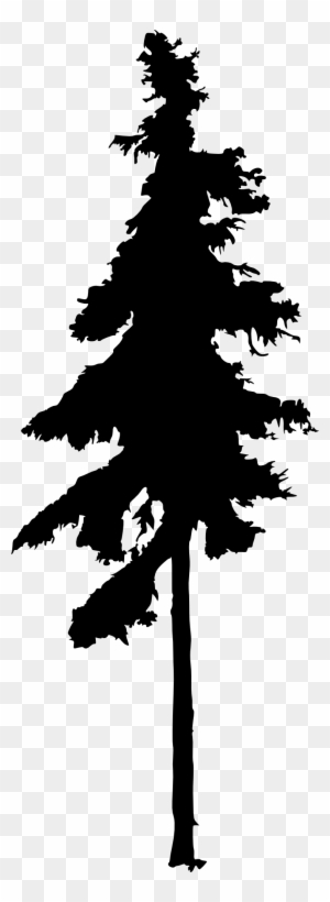 Pine Clipart Redwood Tree - Tall Tree Clip Art - Free Transparent PNG ...