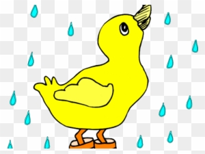 Duck Clipart Transparent Png Clipart Images Free Download Page 6 Clipartmax - raining duck duck roblox