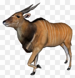 Bongo Clipart, Átlátszó PNG ClipartBongo Clipart, Átlátszó PNG Clipart  