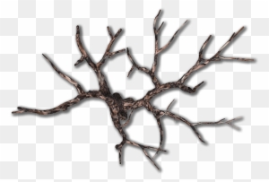 06 feb 2009 dead tree top down free transparent png clipart images download 06 feb 2009 dead tree top down free