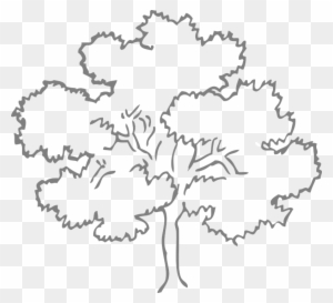 Easy Leaf Cliparts 12, - Tree Clipart Black And White - Free ...