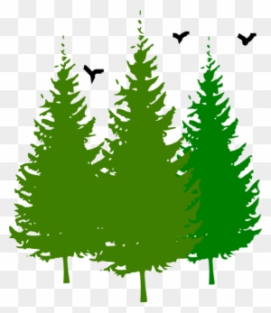 12 Free Vector Pine Trees Free Cliparts That You Can - Free Pine Tree ...