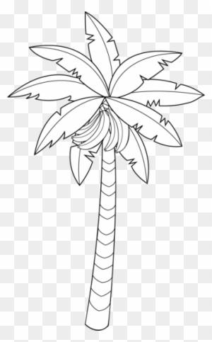 Banana leaf hand drawn botanical illustration... - Stock Illustration  [72476557] - PIXTA