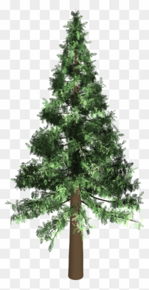 Evergreen Clip Art - Green Pine Tree Silhouette - Free Transparent PNG ...