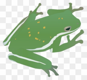 Tree Frog Svg カエル イラスト フリー 商用 Free Transparent Png Clipart Images Download